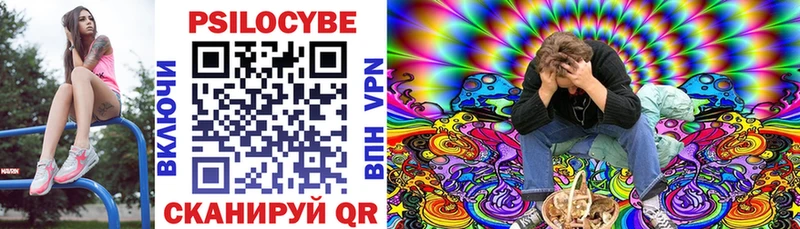 наркошоп  Торопец  Галлюциногенные грибы MAGIC MUSHROOMS 